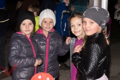 laternenfest_breitensee_005