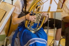 Erdbeerfest 2016 036