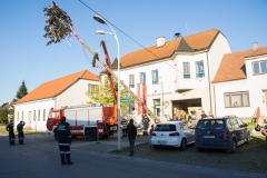 Maibaum aufstellen 2016 022