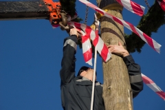 Maibaum aufstellen 2016 030