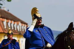 Barocker Tierumzug 03