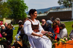 Barocker Tierumzug 17
