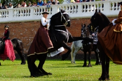 Barocker Tierumzug 58