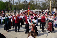 Barocker Tierumzug 76