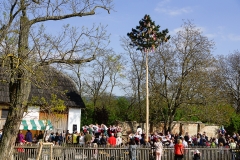 Barocker Tierumzug 78