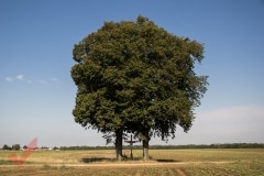 breitensee_kreuz_009