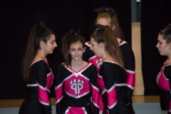 christmas cheer cup 009