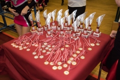 christmas cheer cup 017