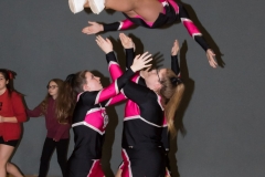 christmas cheer cup 028