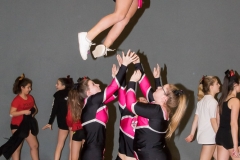 christmas cheer cup 029
