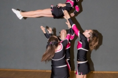christmas cheer cup 033