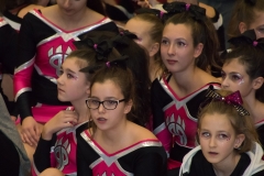 christmas cheer cup 035