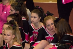 christmas cheer cup 038