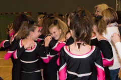christmas cheer cup 048
