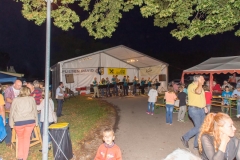 bg_daemmerschoppen_breitensee_2014_001-2