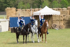 Drei Musketiere 02