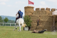 Drei Musketiere 12