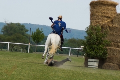 Drei Musketiere 13