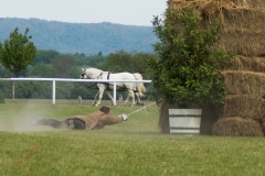 Drei Musketiere 14