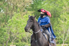 Drei Musketiere 15