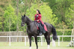 Drei Musketiere 17