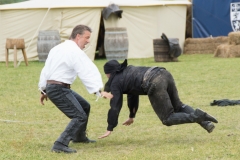 Drei Musketiere 23