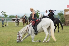 Drei Musketiere 29