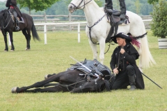 Drei Musketiere 31