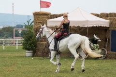 Drei Musketiere 32