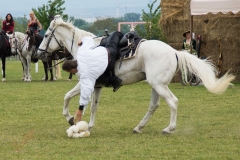 Drei Musketiere 33