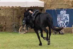 Drei Musketiere 35