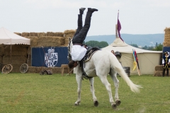 Drei Musketiere 36