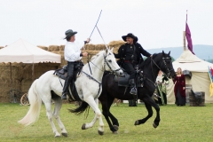 Drei Musketiere 38
