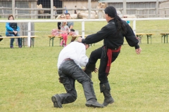 Drei Musketiere 42