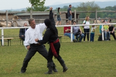 Drei Musketiere 43