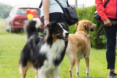doghof Eröffnung 011