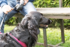 doghof Eröffnung 013