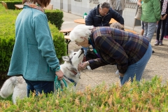 doghof Eröffnung 016