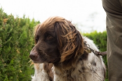 doghof Eröffnung 028