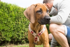 doghof Eröffnung 047