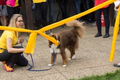 doghof Eröffnung 049
