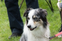 doghof Eröffnung 050