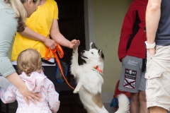doghof Eröffnung 056