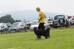 doghof Eröffnung 060