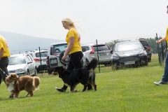 doghof Eröffnung 062