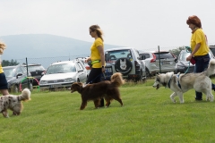 doghof Eröffnung 065