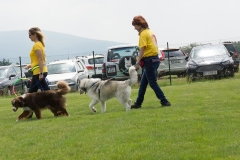 doghof Eröffnung 066