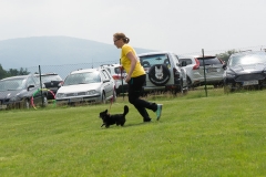 doghof Eröffnung 068