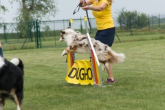 doghof Eröffnung 070