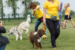 doghof Eröffnung 071